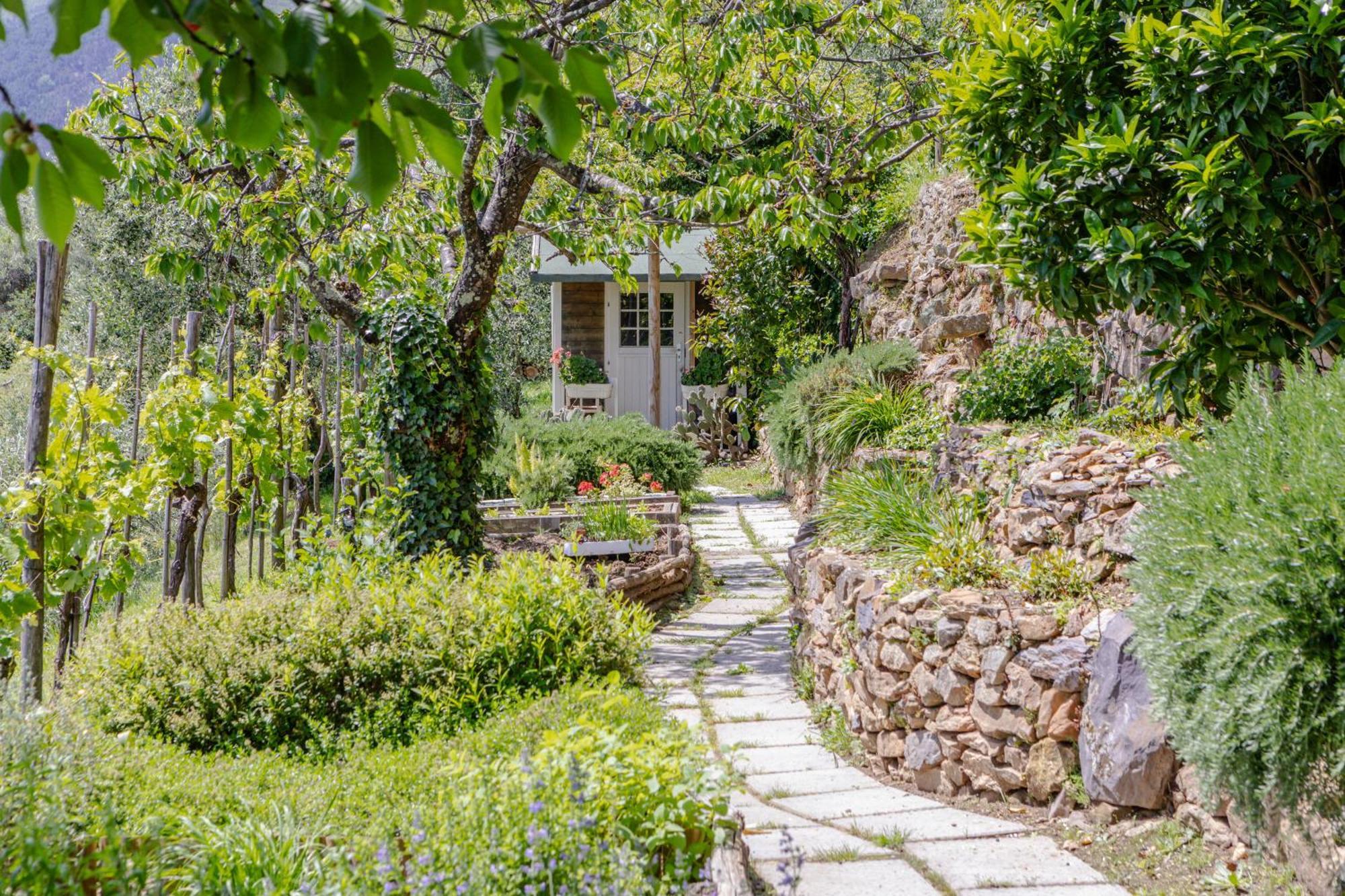 Villa Sii Felice Buti Dış mekan fotoğraf