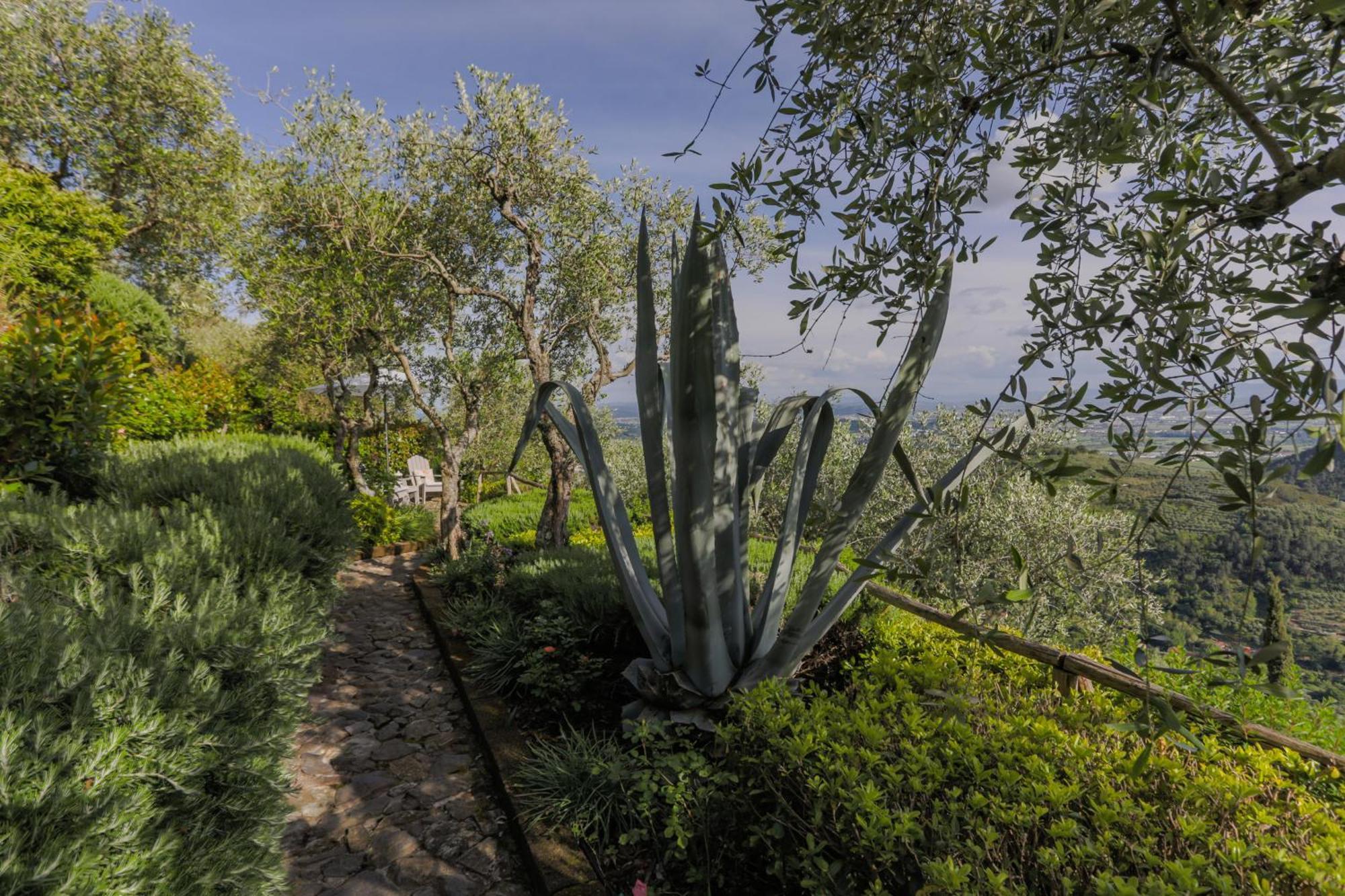 Villa Sii Felice Buti Dış mekan fotoğraf