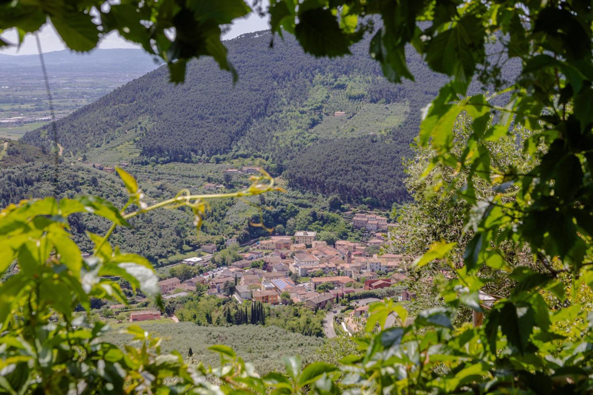 Villa Sii Felice Buti Dış mekan fotoğraf