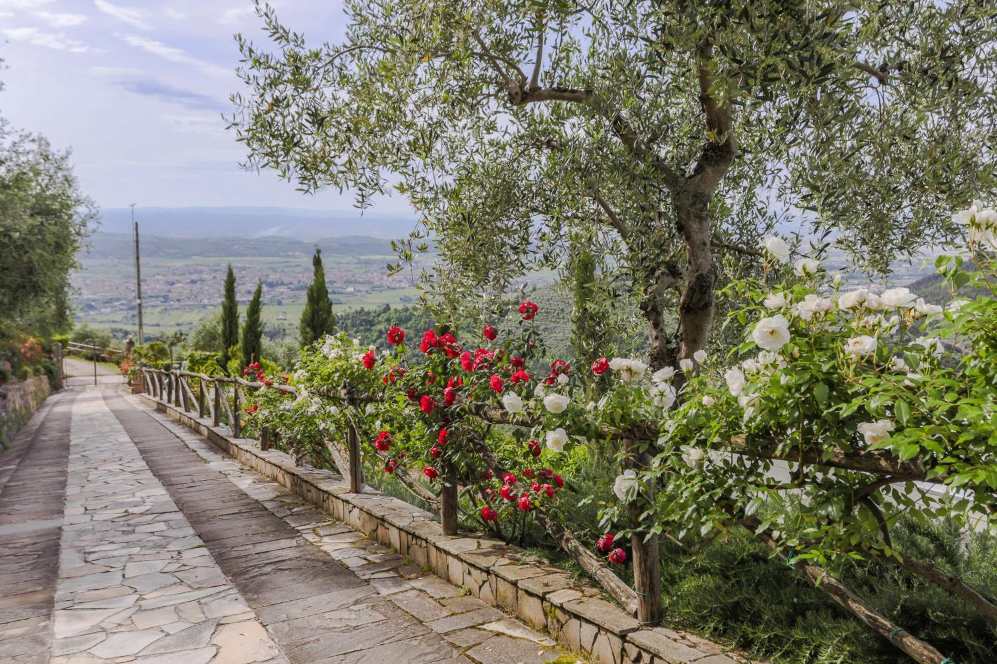 Villa Sii Felice Buti Dış mekan fotoğraf