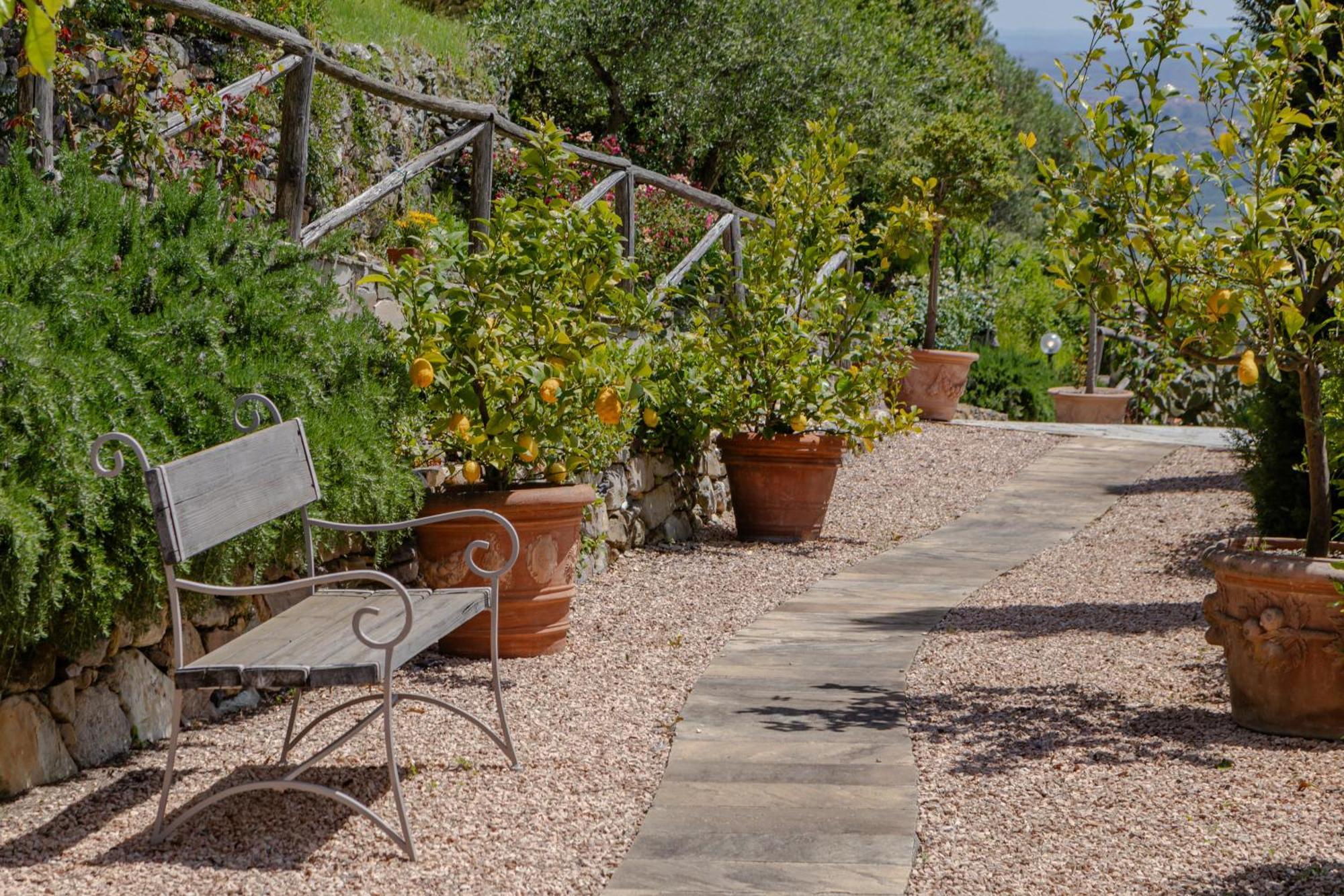 Villa Sii Felice Buti Dış mekan fotoğraf