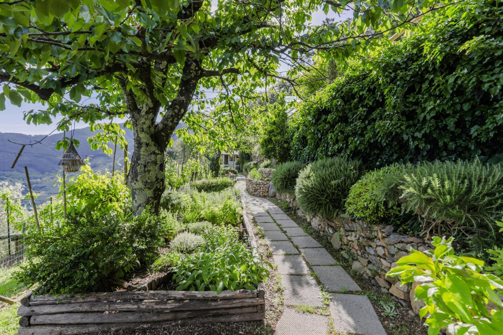 Villa Sii Felice Buti Dış mekan fotoğraf
